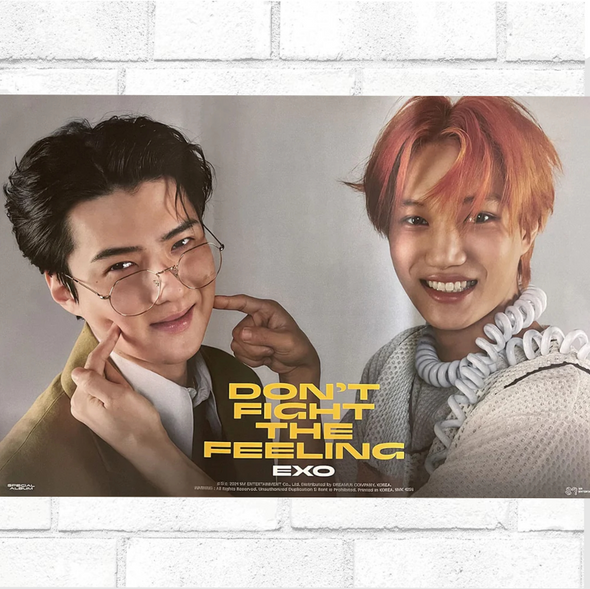 EXO - DON'T FIGHT THE FEELING - Official Poster - Kpop Music 사랑해요